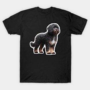 Barbet T-Shirt